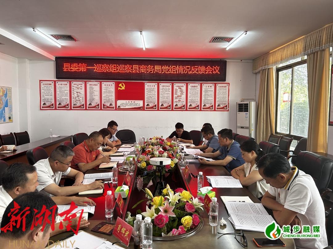 县委第一巡察组向县商务局党组反馈巡察情况_邵阳头条网